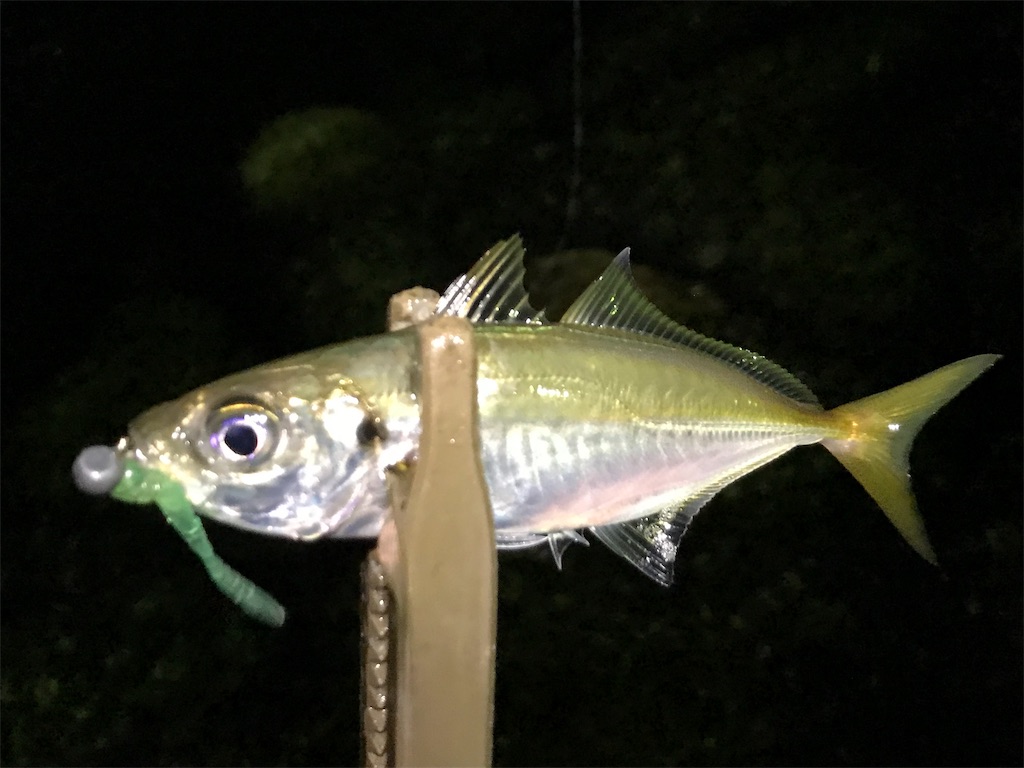 f:id:esojima3:20190904224607j:image