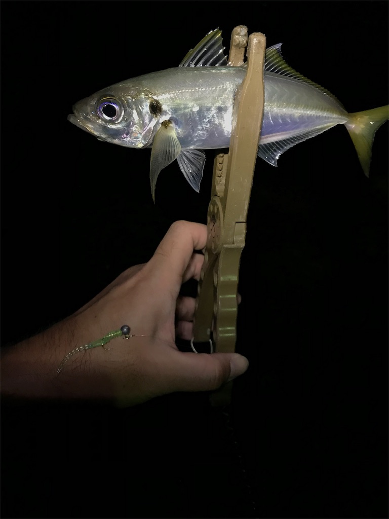 f:id:esojima3:20190904224611j:image