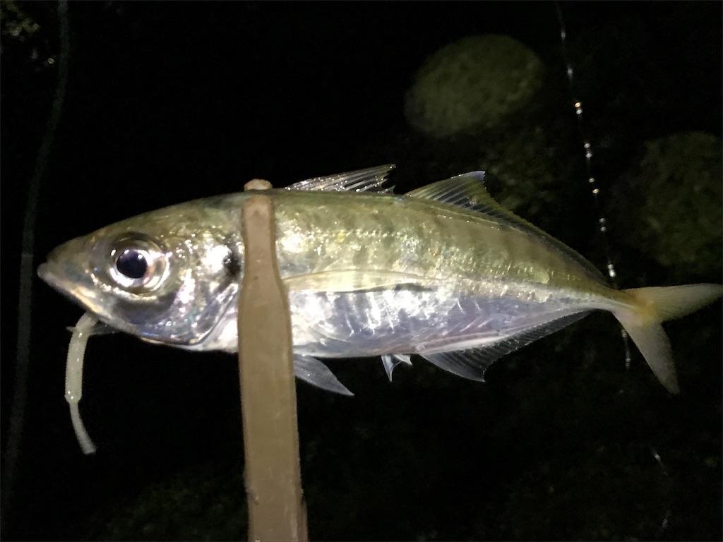 f:id:esojima3:20190904224616j:image