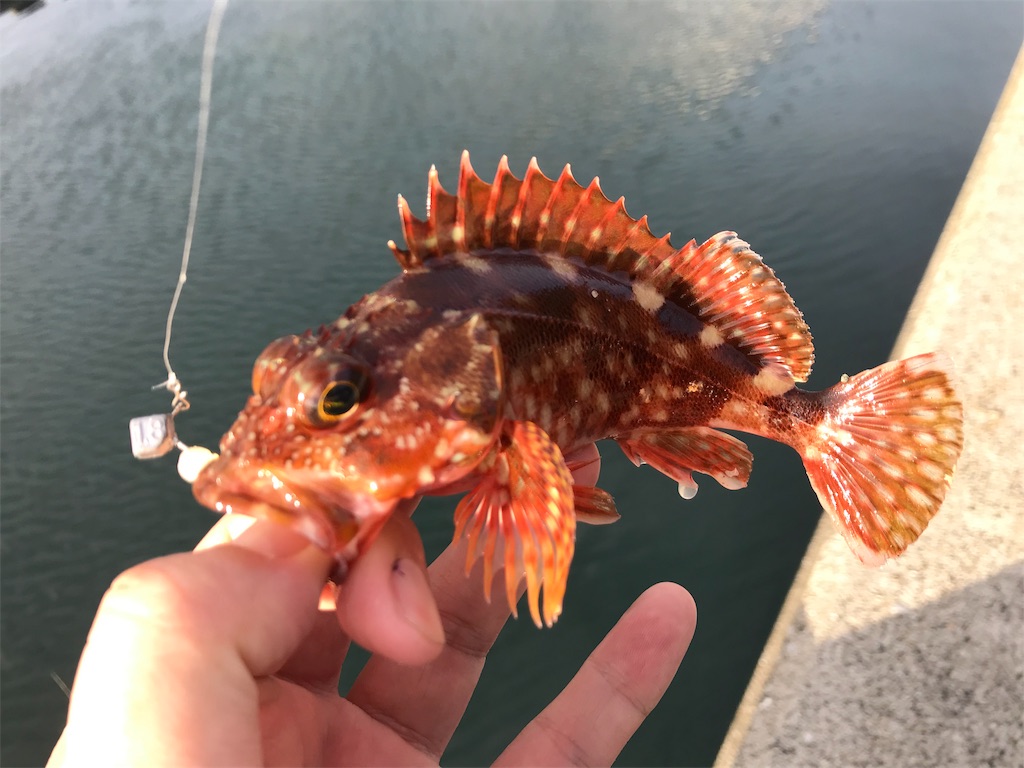 f:id:esojima3:20190905211431j:image