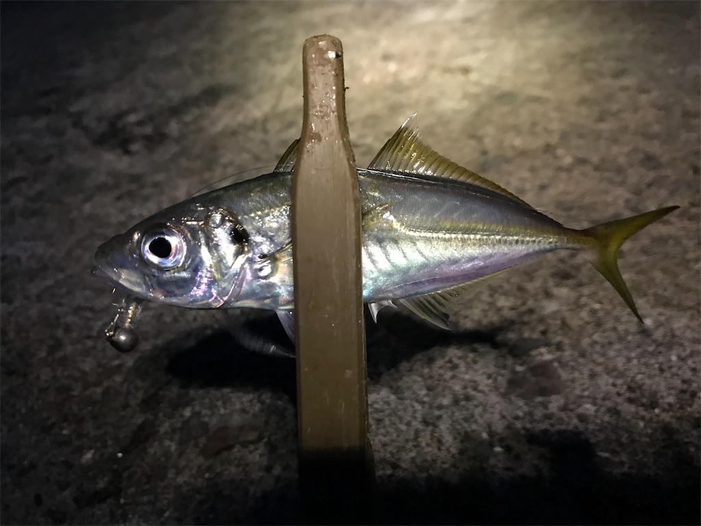 f:id:esojima3:20190905212142j:image