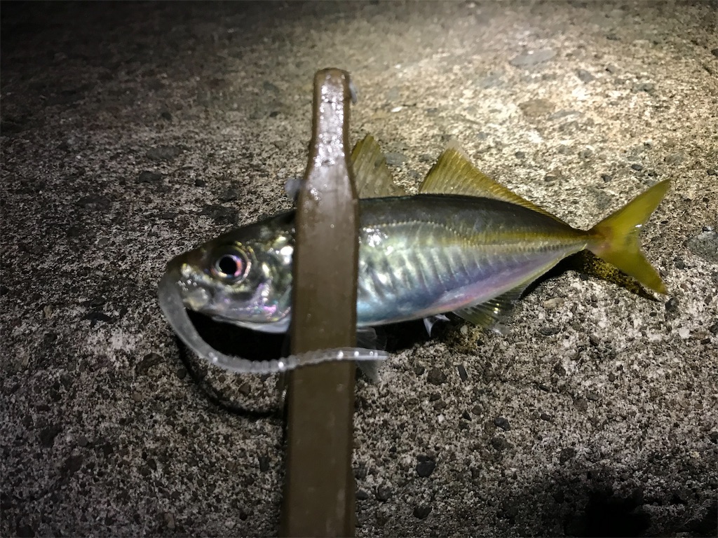 f:id:esojima3:20190905212147j:image