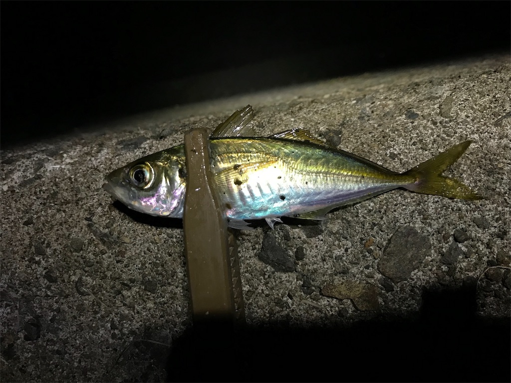 f:id:esojima3:20190905212152j:image