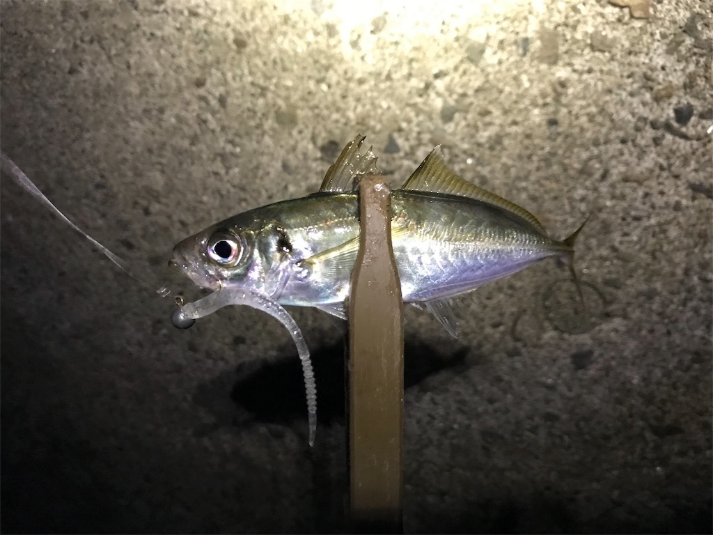 f:id:esojima3:20190905212156j:image