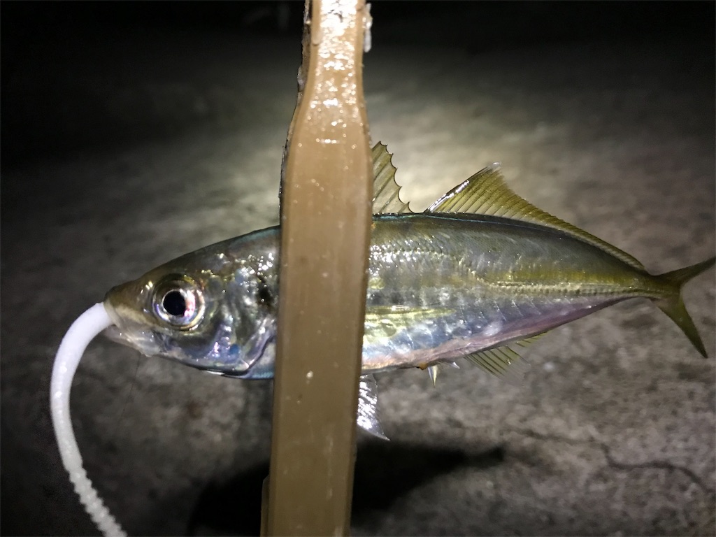 f:id:esojima3:20190905212200j:image