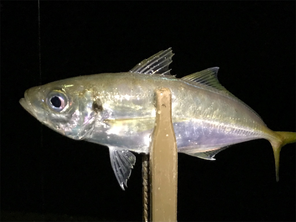 f:id:esojima3:20190908090208j:image