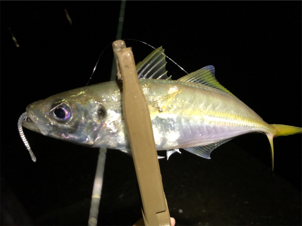 f:id:esojima3:20190908090557j:image