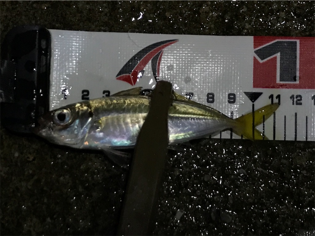 f:id:esojima3:20190908091541j:image