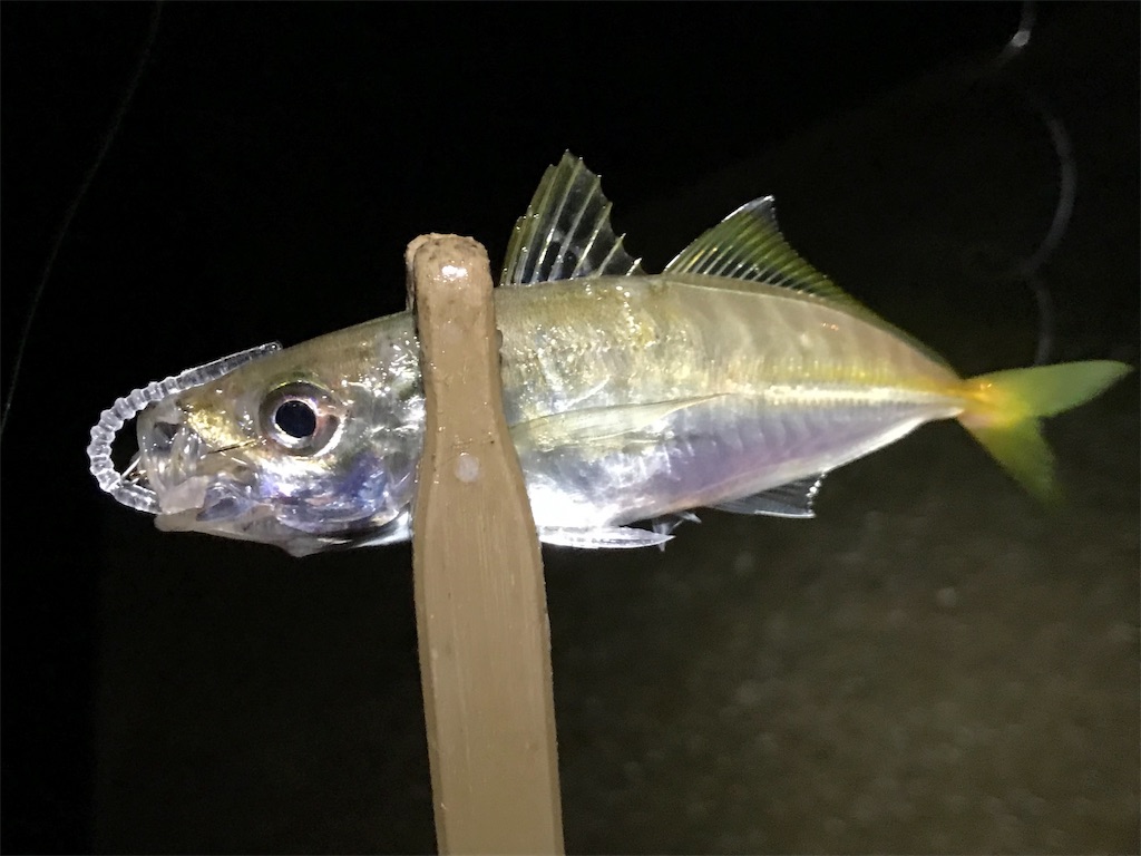 f:id:esojima3:20190908091614j:image