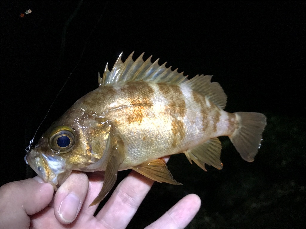 f:id:esojima3:20190908231233j:image