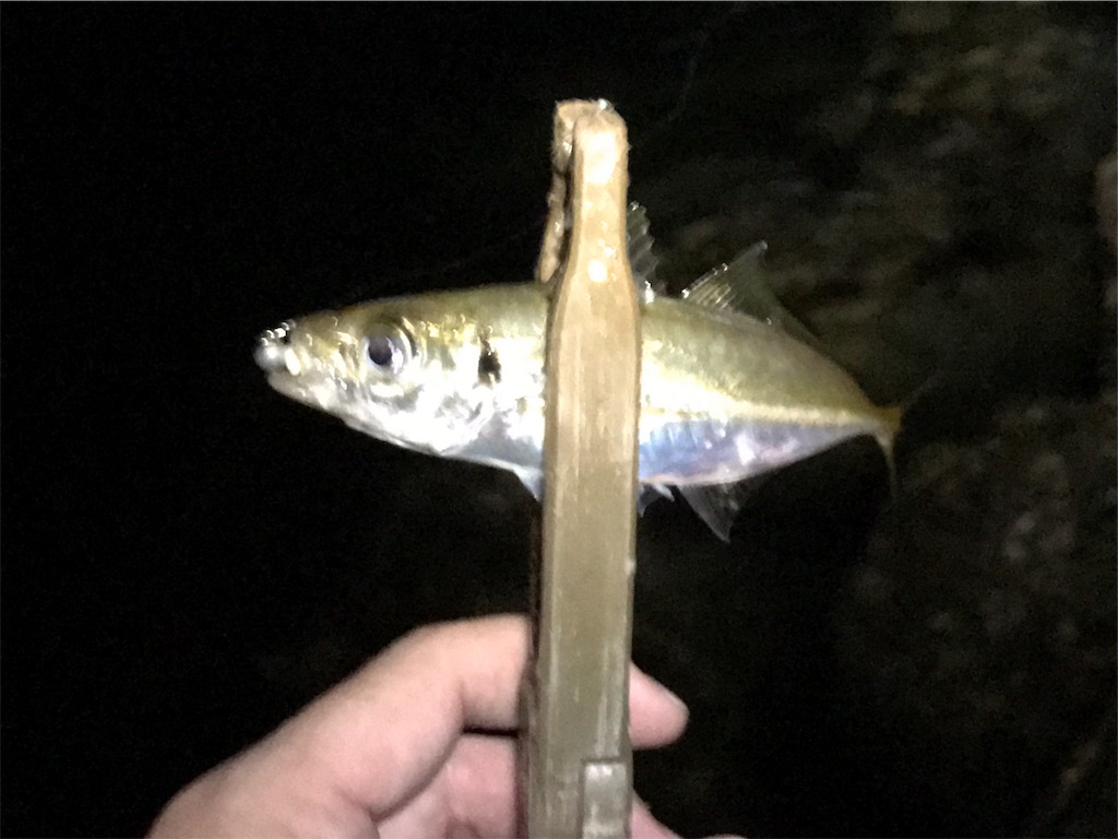f:id:esojima3:20190908231250j:image