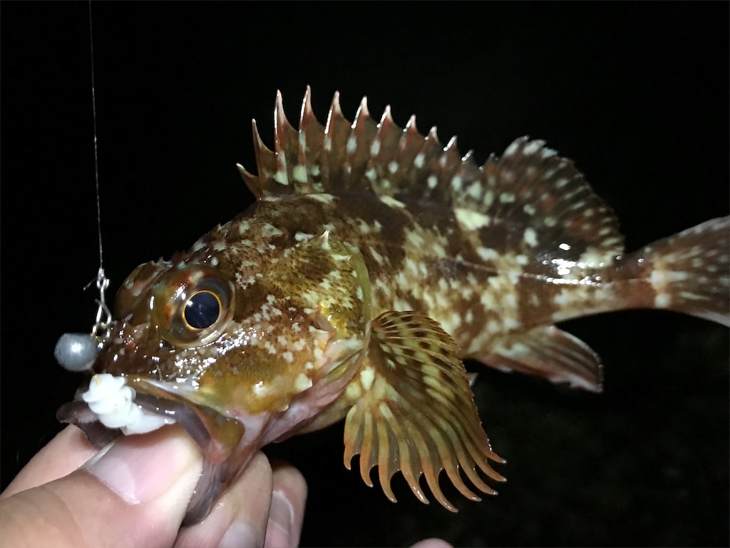 f:id:esojima3:20190908231259j:image