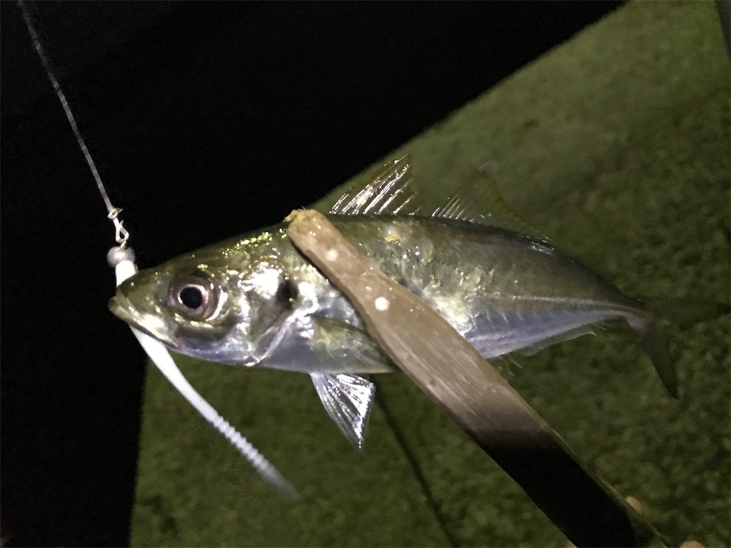 f:id:esojima3:20190909230326j:image f:id:esojima3:20190909230326j:image