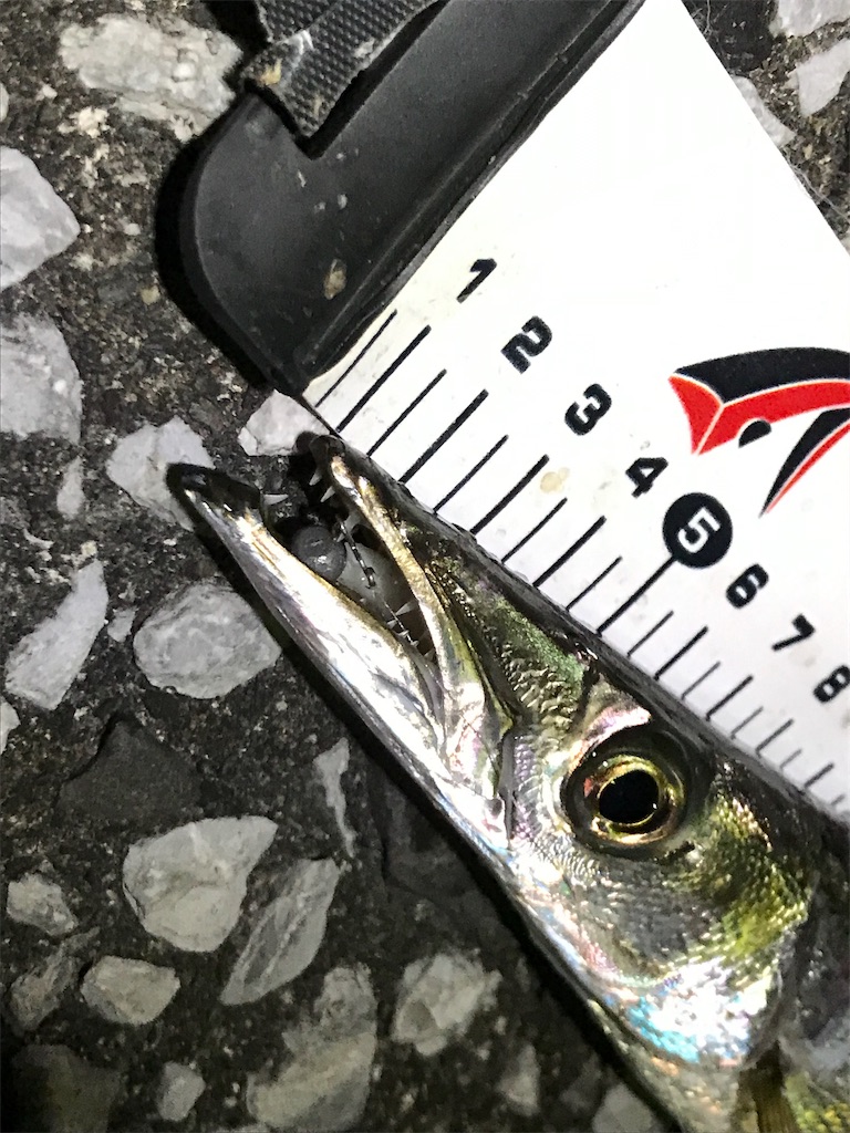 f:id:esojima3:20190909230549j:image f:id:esojima3:20190909230549j:image