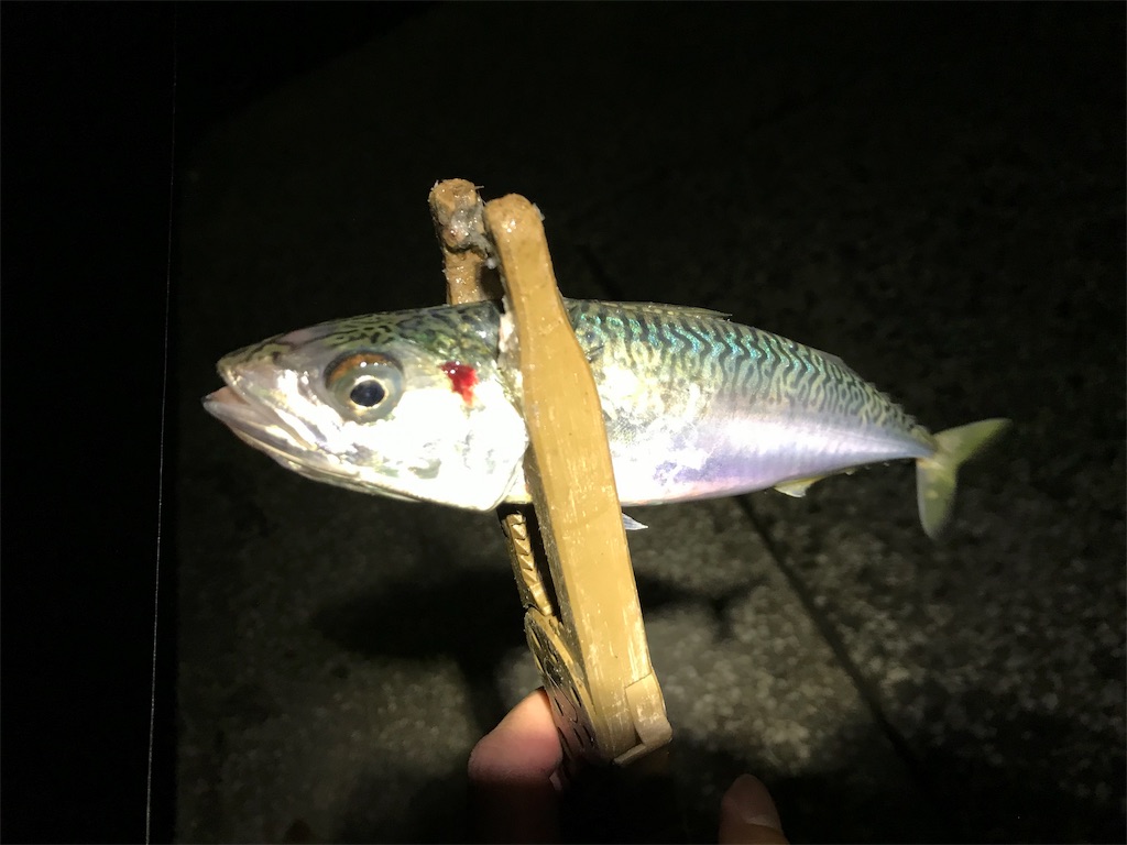 f:id:esojima3:20190909230708j:image f:id:esojima3:20190909230708j:image