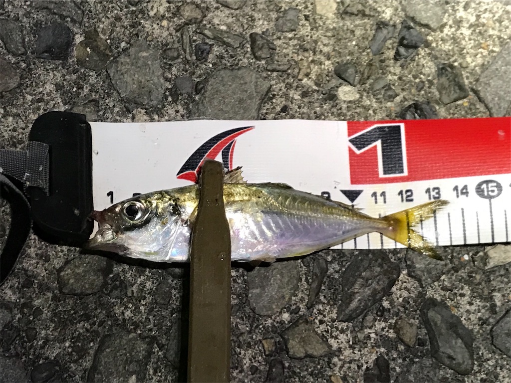 f:id:esojima3:20190909230746j:image f:id:esojima3:20190909230746j:image