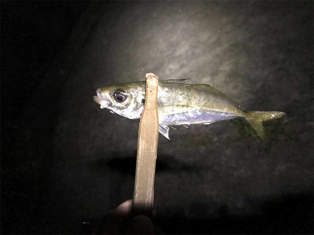 f:id:esojima3:20190911225542j:image