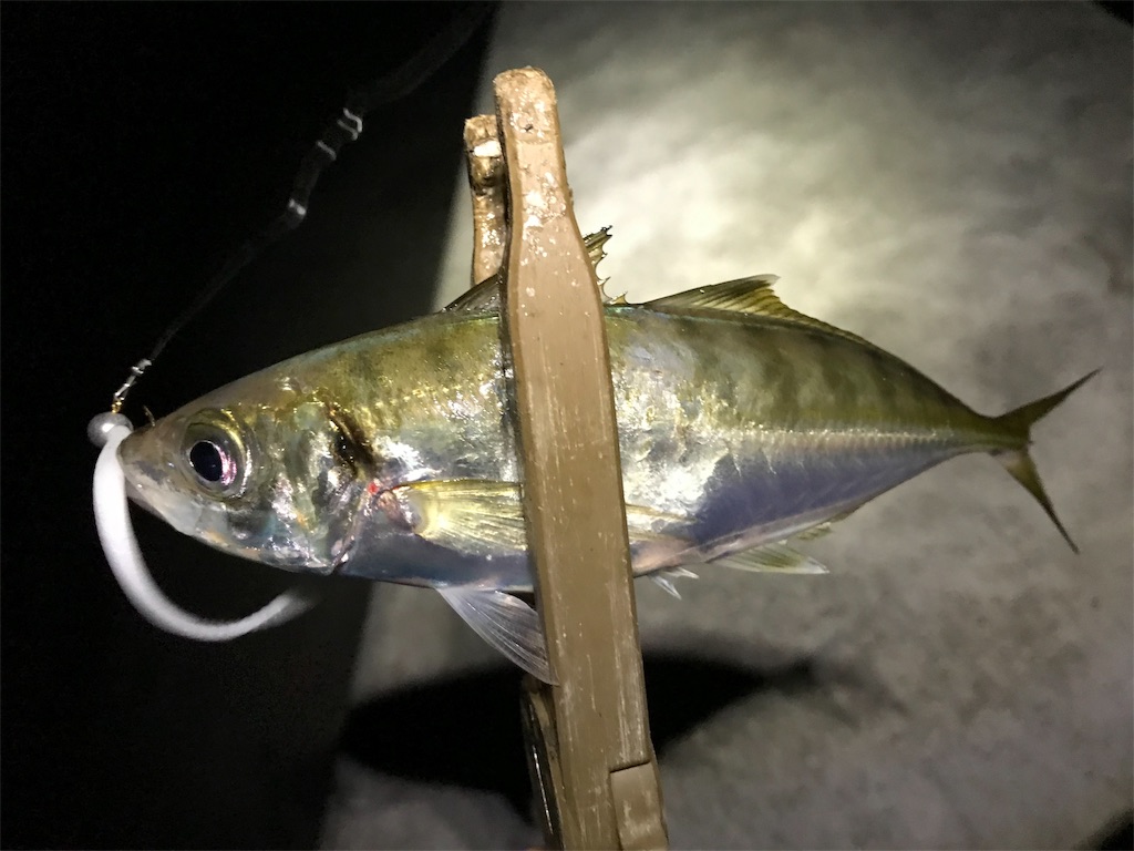 f:id:esojima3:20190911225711j:image