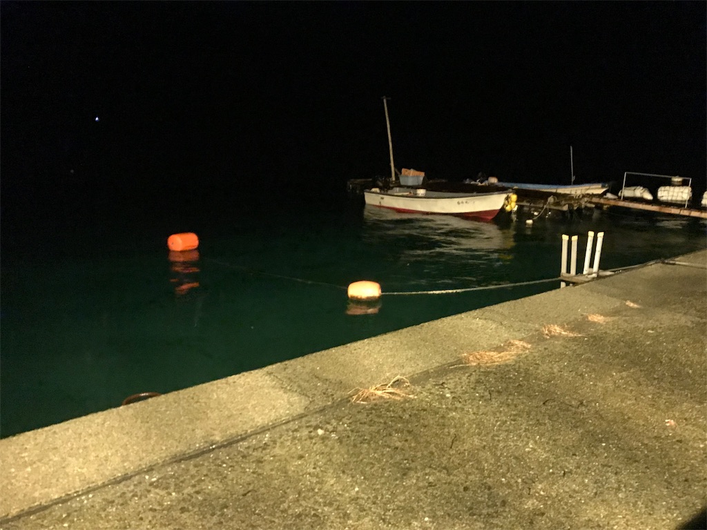 f:id:esojima3:20190913195800j:image