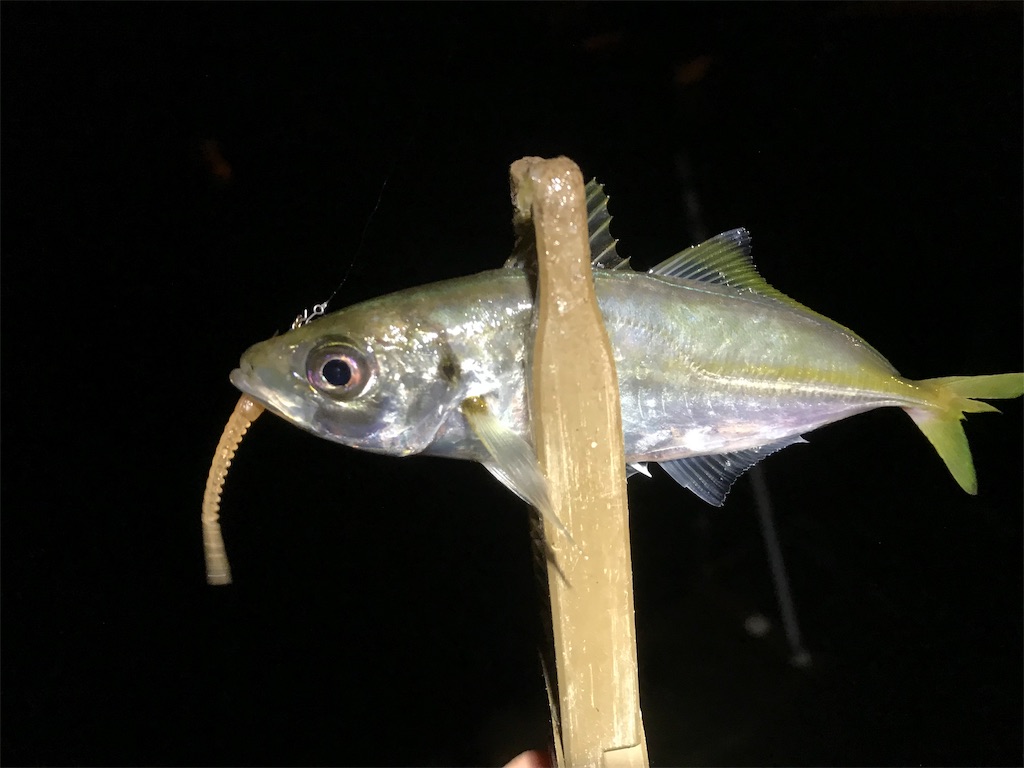 f:id:esojima3:20190913195921j:image
