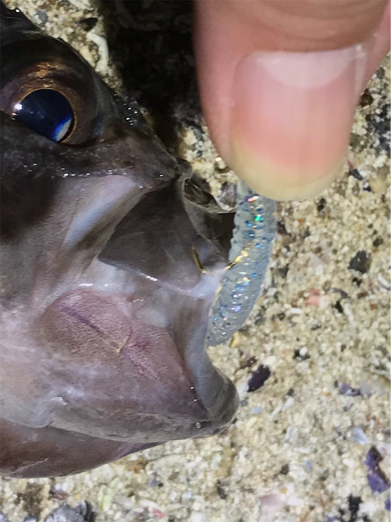 f:id:esojima3:20190913224751j:image