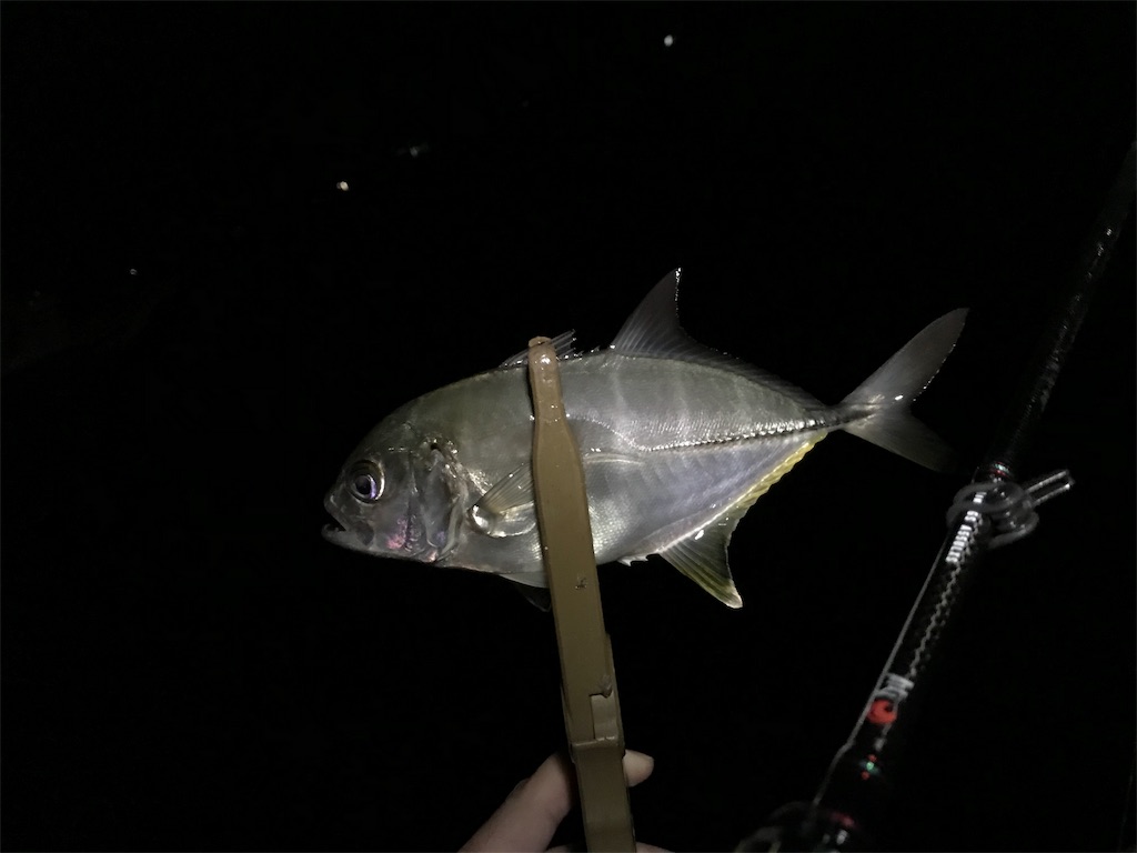 f:id:esojima3:20190913224853j:image