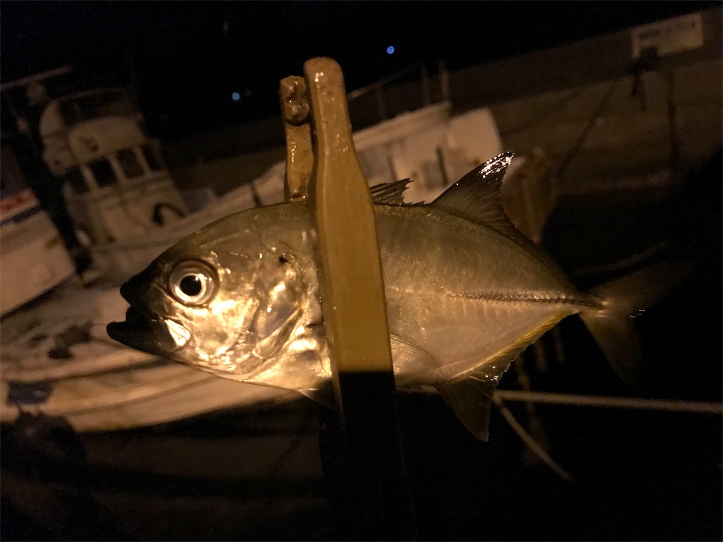 f:id:esojima3:20190913224906j:image