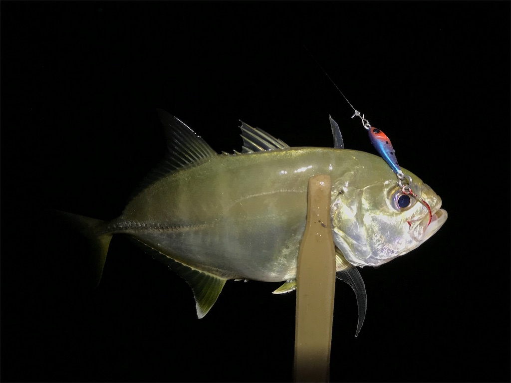 f:id:esojima3:20190913224908j:image