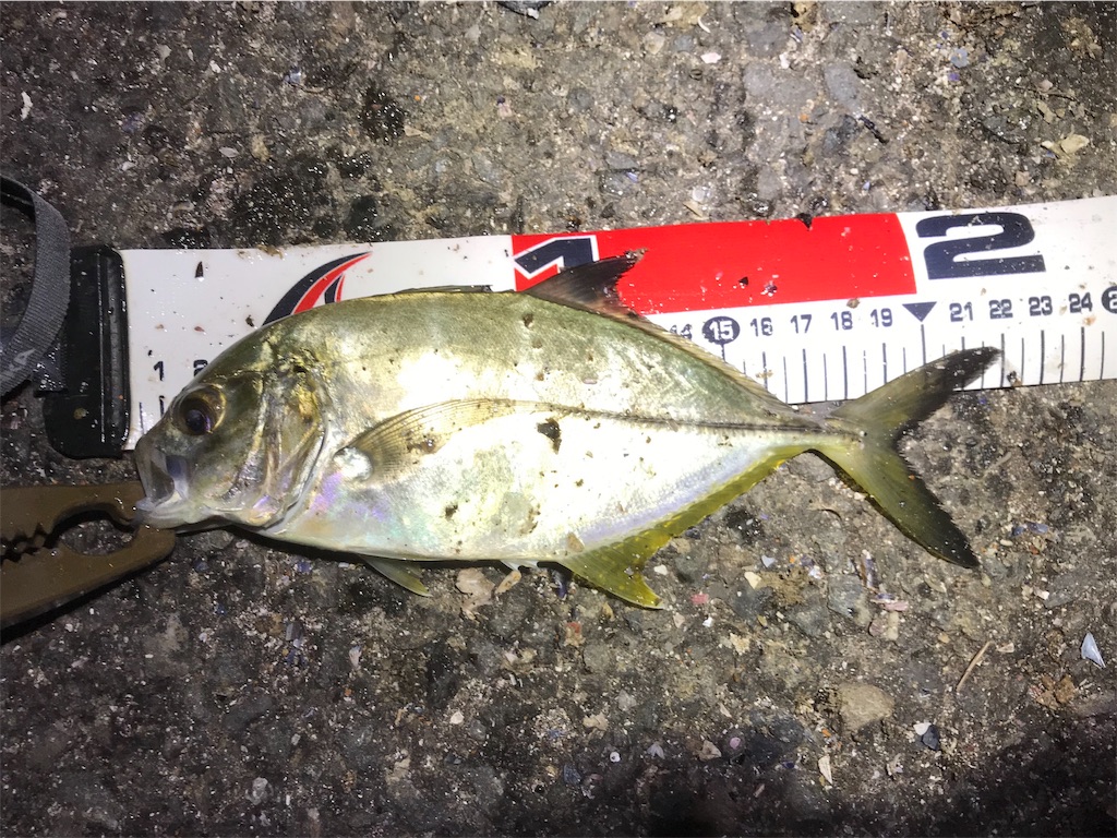 f:id:esojima3:20190913224922j:image
