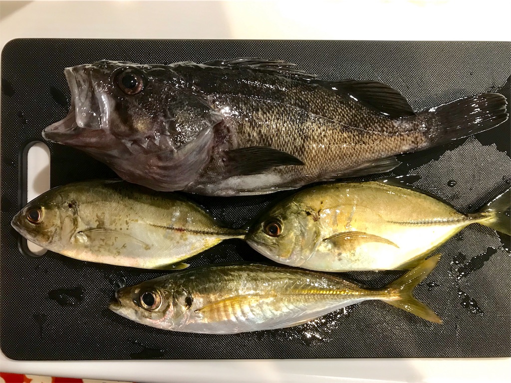 f:id:esojima3:20190914114241j:image f:id:esojima3:20190914114241j:image