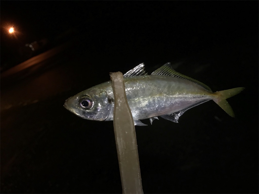 f:id:esojima3:20190914140058j:image