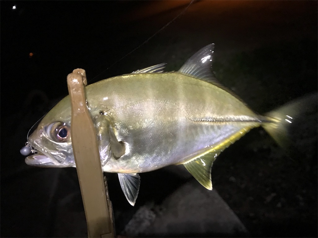 f:id:esojima3:20190914140912j:image