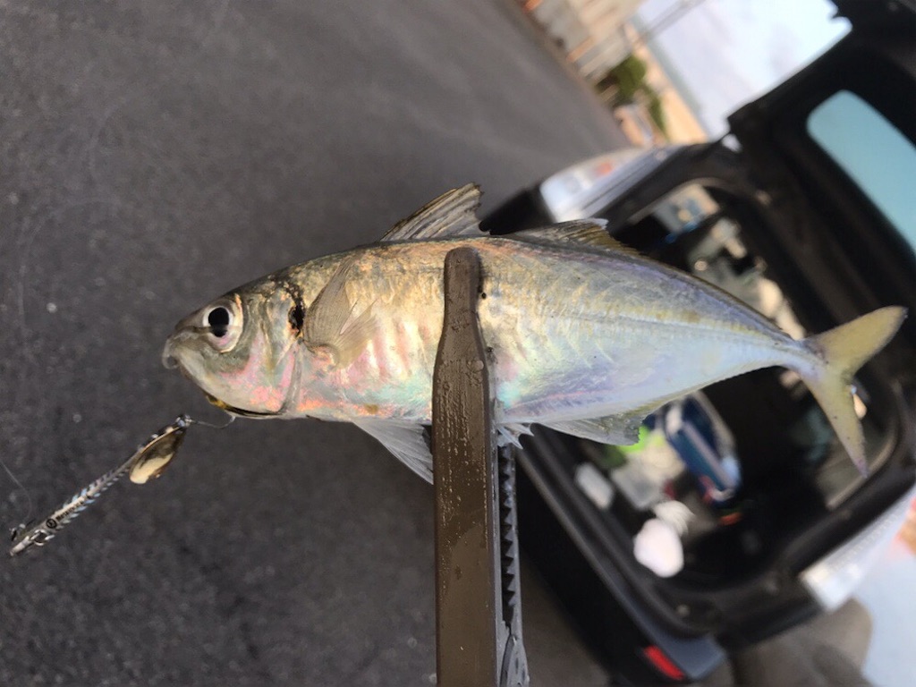f:id:esojima3:20190914141135j:image