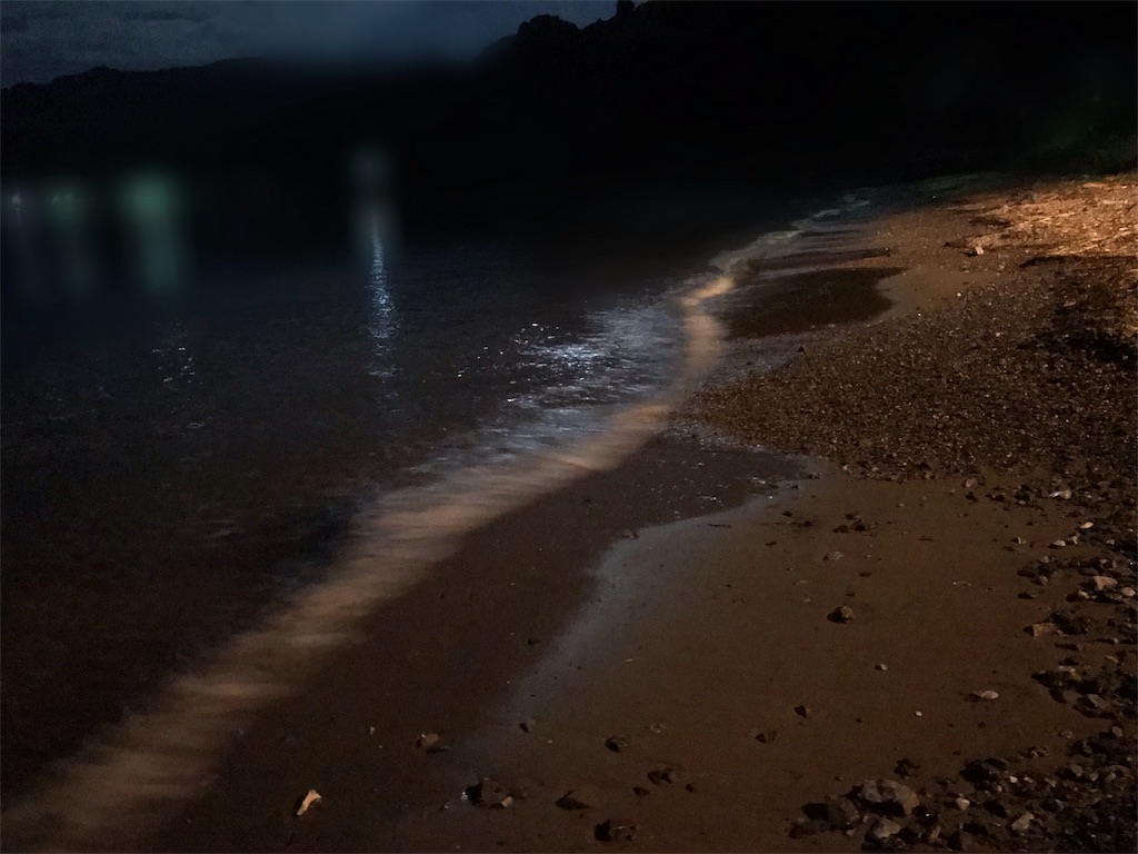 f:id:esojima3:20190915090050j:image