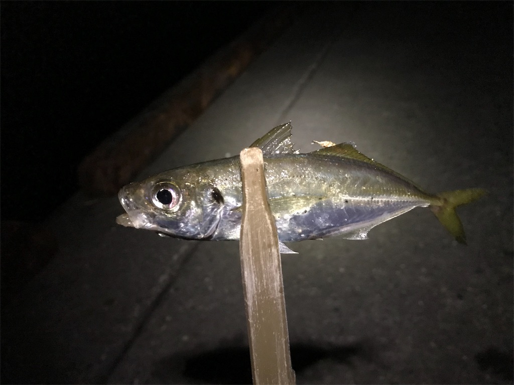 f:id:esojima3:20190915091338j:image