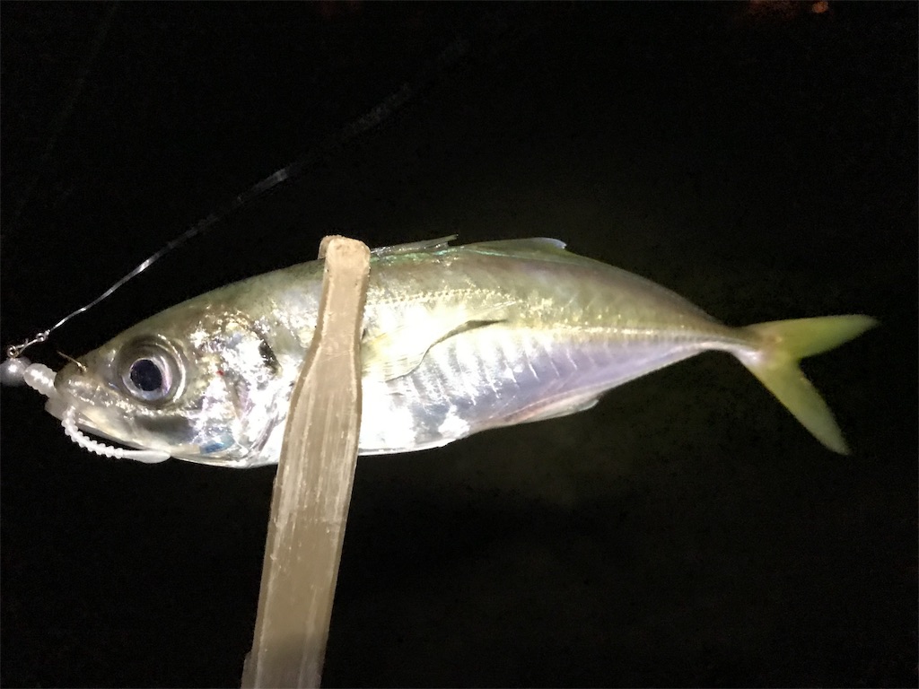 f:id:esojima3:20190915234427j:image f:id:esojima3:20190915234427j:image