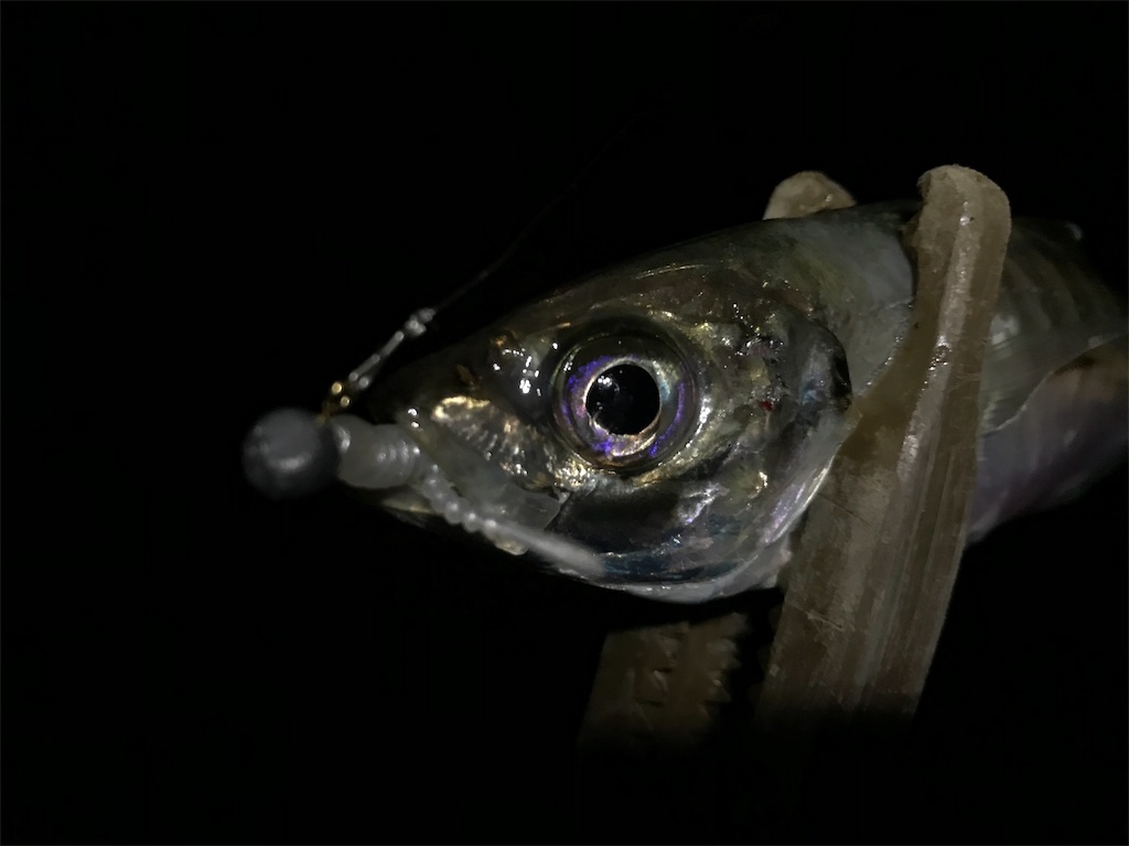f:id:esojima3:20190915234435j:image f:id:esojima3:20190915234435j:image