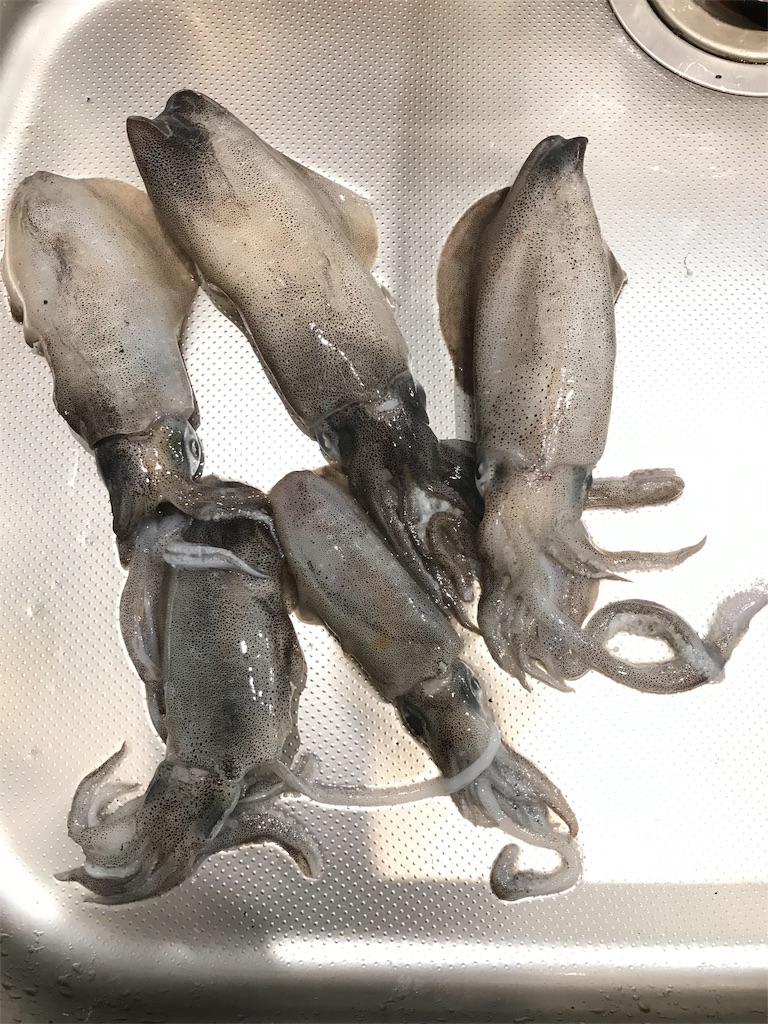 f:id:esojima3:20190916152758j:image