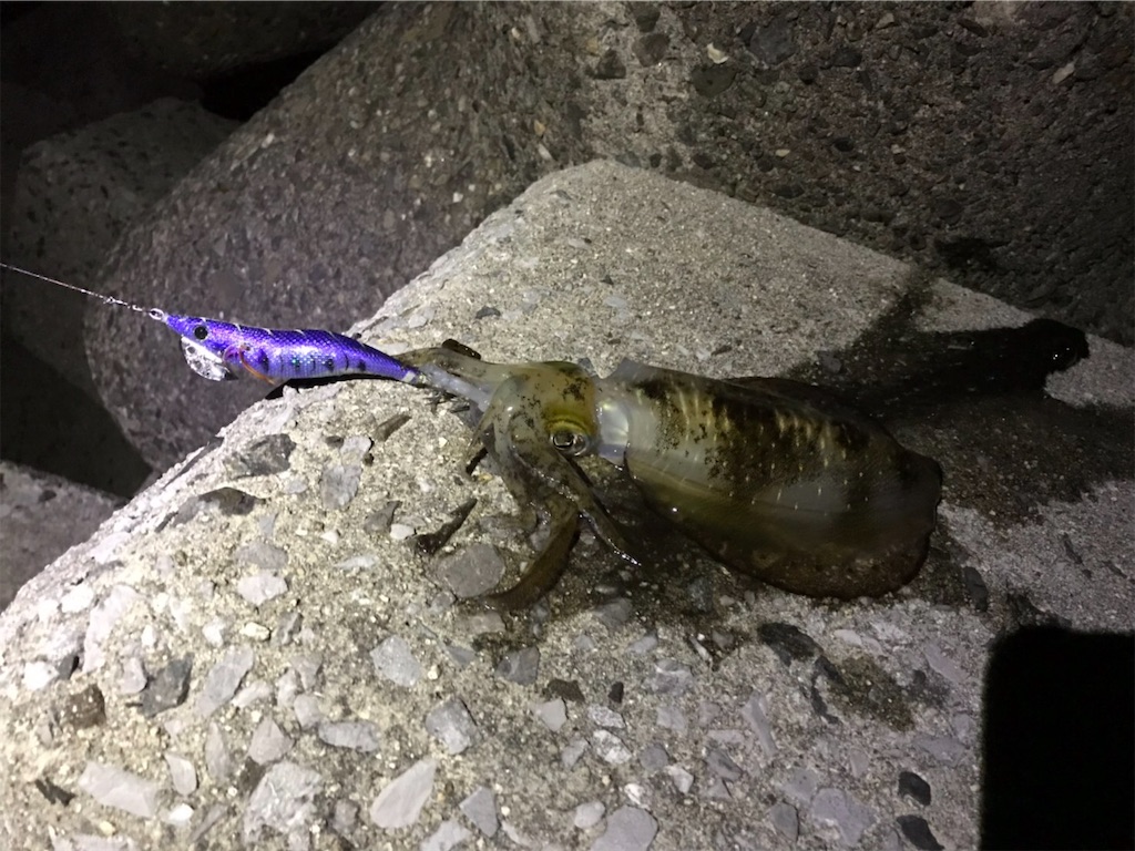 f:id:esojima3:20190917233616j:image