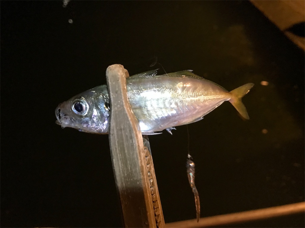 f:id:esojima3:20190918222441j:image