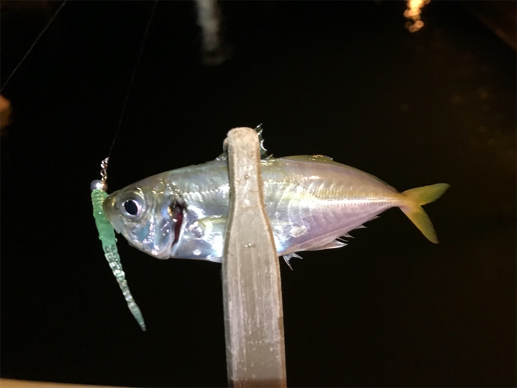 f:id:esojima3:20190918222445j:image