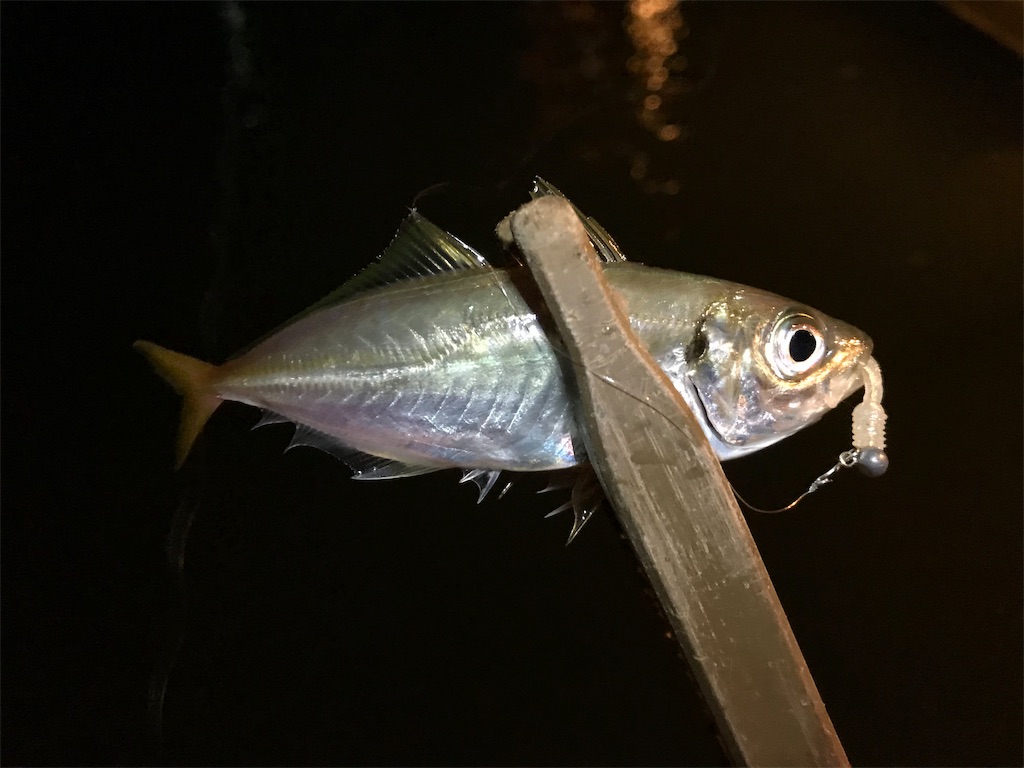 f:id:esojima3:20190918222449j:image