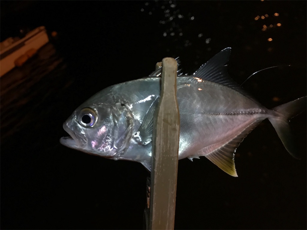 f:id:esojima3:20190918222641j:image
