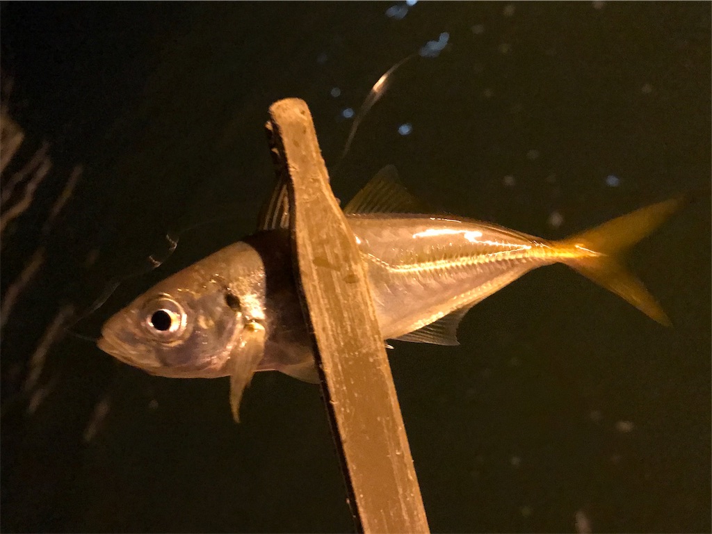 f:id:esojima3:20190918222651j:image