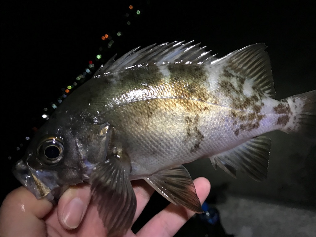 f:id:esojima3:20190919221858j:image f:id:esojima3:20190919221858j:image