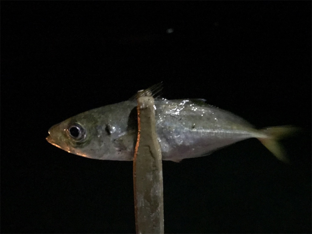 f:id:esojima3:20190921021138j:image