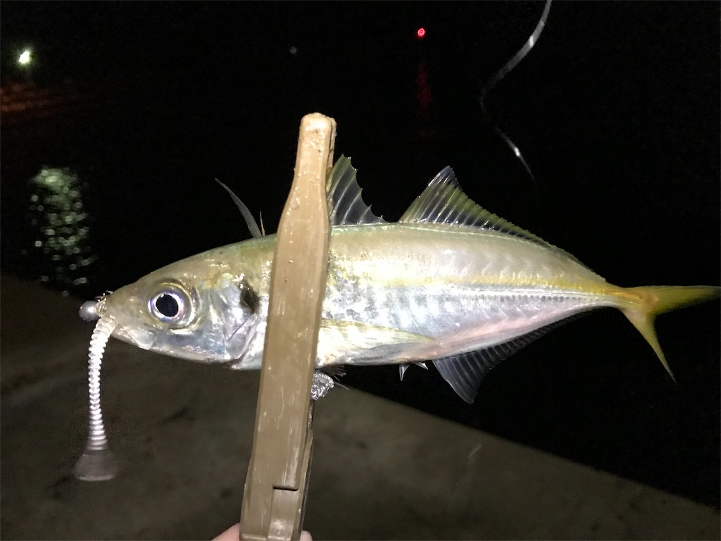 f:id:esojima3:20190921075205j:image