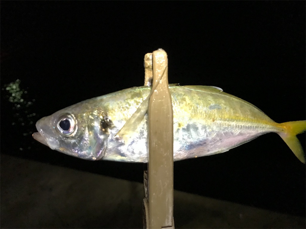 f:id:esojima3:20190921075208j:image