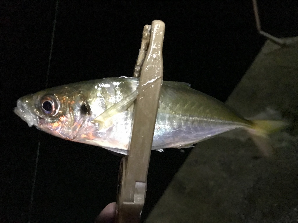 f:id:esojima3:20190921075211j:image
