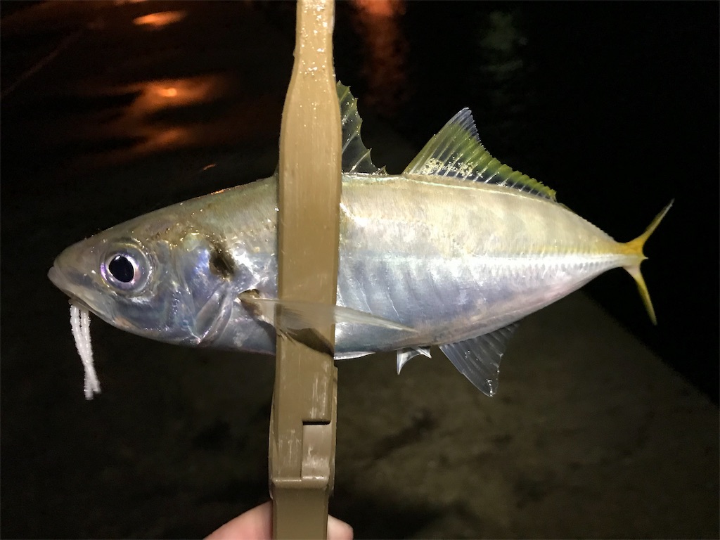 f:id:esojima3:20190921075214j:image